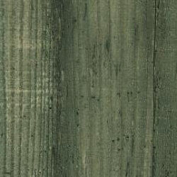 677 Morbida Вяз вуд