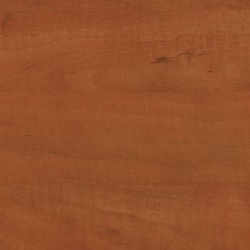 3235 S Груша дикая