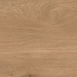 3259 7 Дуб французский