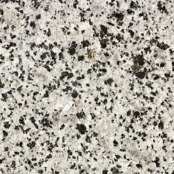 3207f7e7e9746638d1c113822996c458