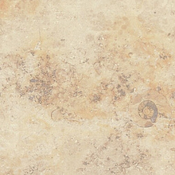 101 Ракушечник