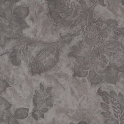 5008 6 Шарлотта