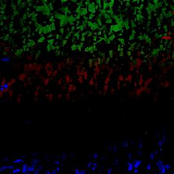 421 Crystal Чёрный Калейдос