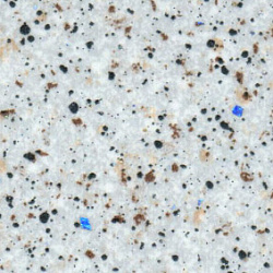  кинтана LM 0412-01