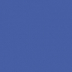 2993 Васильковый